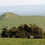 Adam's Grave, Walker's Hill