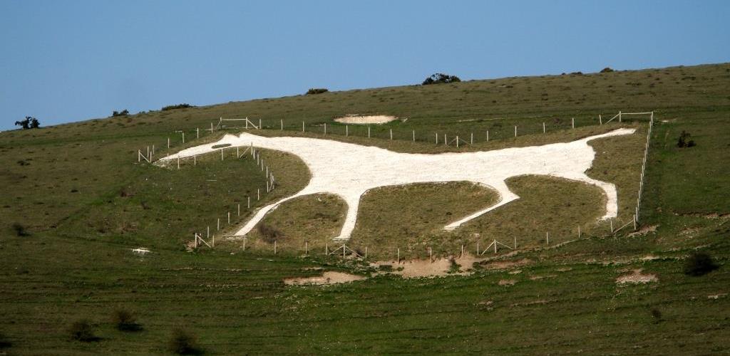 Alton White Horse