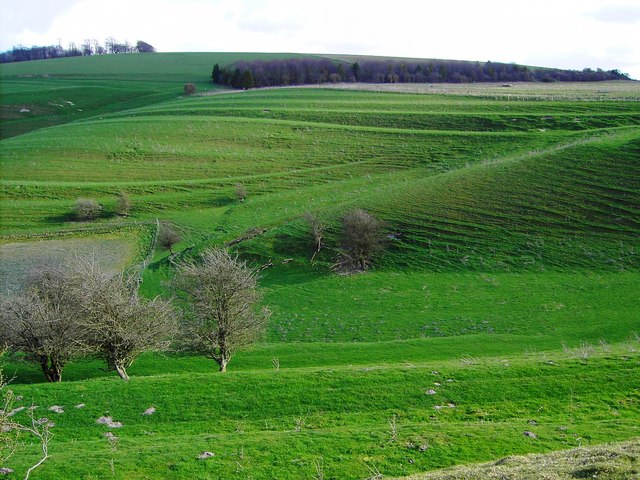 Field System in Easton Royal