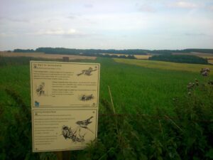 Wildlife Conservation c