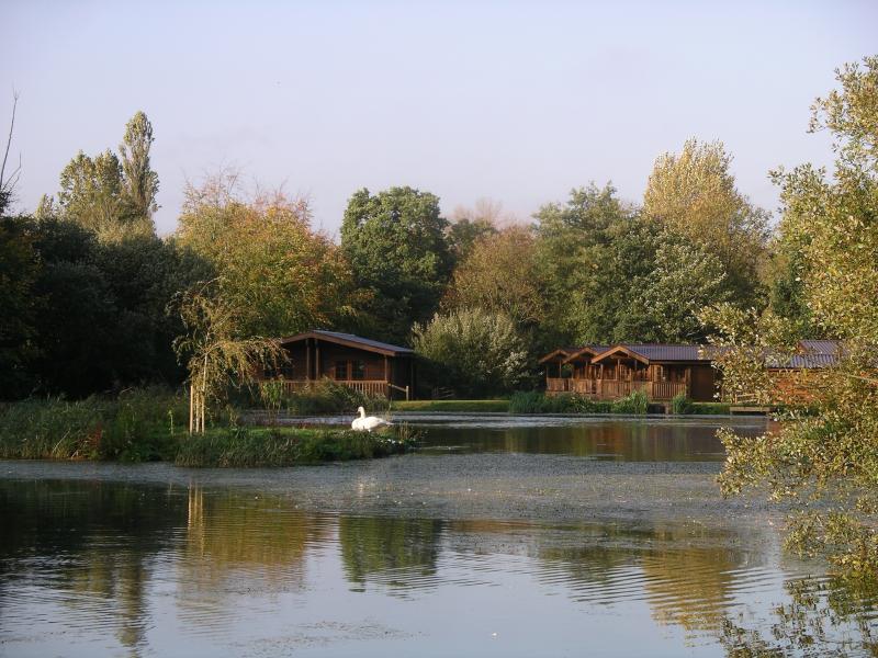 Willowbank-Lodges-view-across-lake