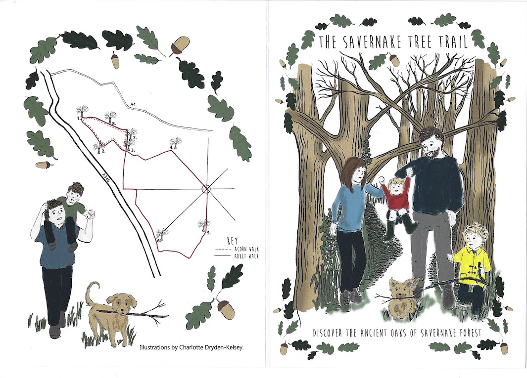 Visit Marlborough – The Savernake Tree Trail c