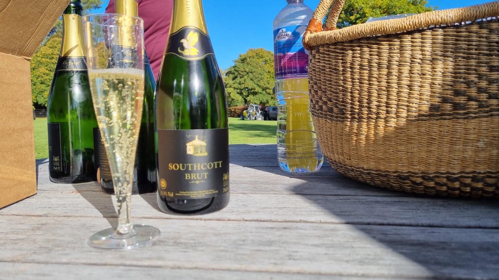 2022-10-Southcott-Glass-c
