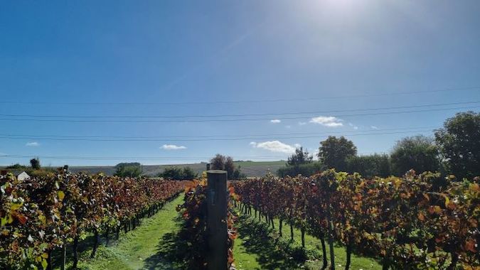 2022-10 Southcott Harvest Done c