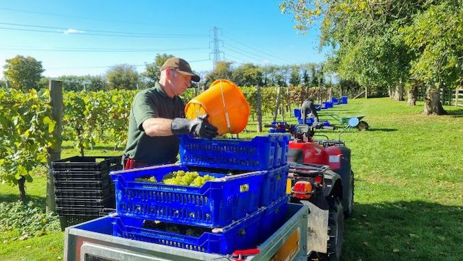 2022-10-Southcott-from-Bucket-to-Crate-c