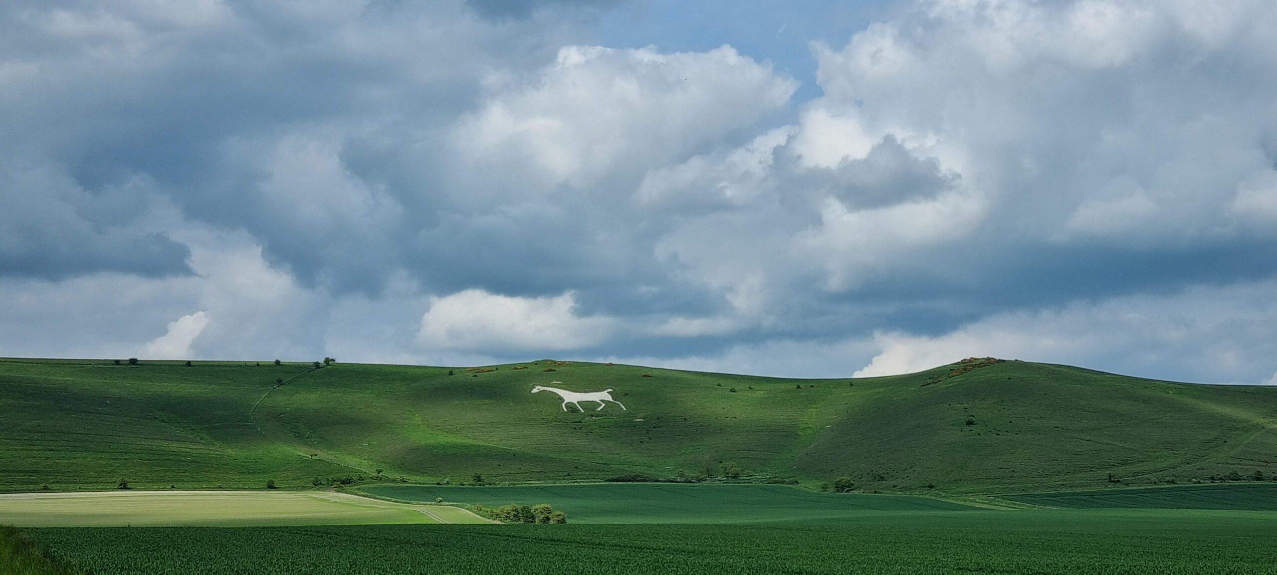 Stage 3 – Alton White Horse