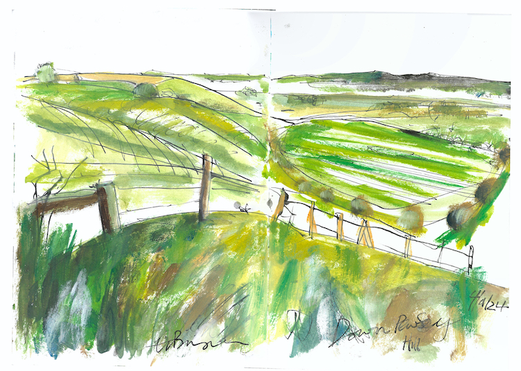 Tim Baynes Down Pewsey Hill Wilts c