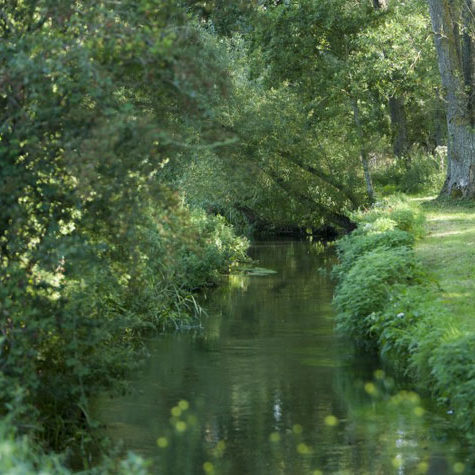 River-Avon-1