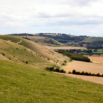 Pewsey Downs National Nature Reserve