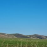 Pewsey Downs National Nature Reserve Pewsey Downs National Nature Reserve