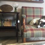 Digger & Mojo Digger & Mojo