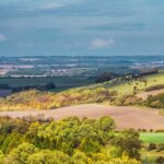 Lyde Cottage Lyde Cottage