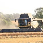 Lyde Cottage Lyde Cottage