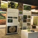 Crop Circle Visitor Centre & Exhibition