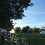 Suddene Park Farm Suddene Park Farm