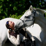 Suddene Park Farm Suddene Park Farm