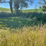 Wild Camping Wiltshire Wild Camping Wiltshire