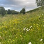 Wild Camping Wiltshire Wild Camping Wiltshire