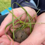 Wild Camping Wiltshire Wild Camping Wiltshire