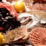 Gastro Nicks Gastro Nicks