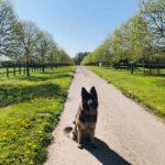 Cocklebury Farm Cocklebury Farm