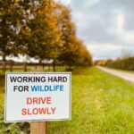 Cocklebury Farm Cocklebury Farm