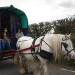 White Horse Gypsy Caravans