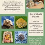 Mushroom Culture Mushroom Culture