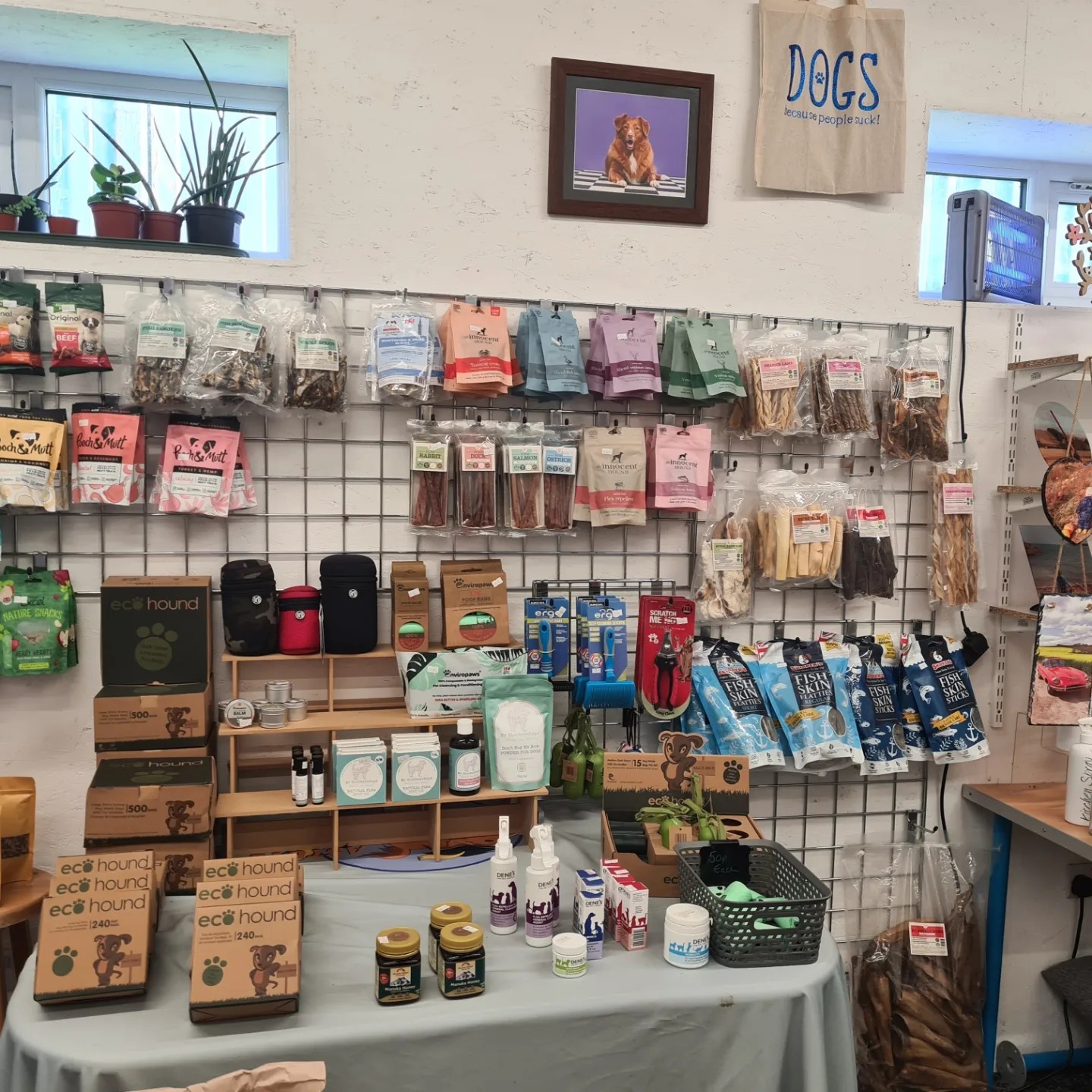 l46317_46327_Astute-Canine-shop-9