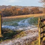 Roaming the Paths Roaming the Paths