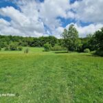 Roaming the Paths Roaming the Paths