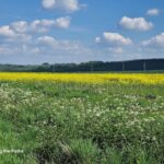 Roaming the Paths Roaming the Paths