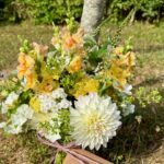 Bulb to Bunch Bulb to Bunch