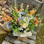 Bulb to Bunch Bulb to Bunch