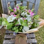 Bulb to Bunch Bulb to Bunch