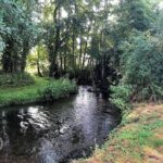 Woodbridge Inn Woodbridge Inn