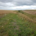 Wansdyke