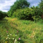 Hat Gate Nature Reserve