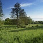 Jones’s Mill Nature Reserve Jones’s Mill Nature Reserve