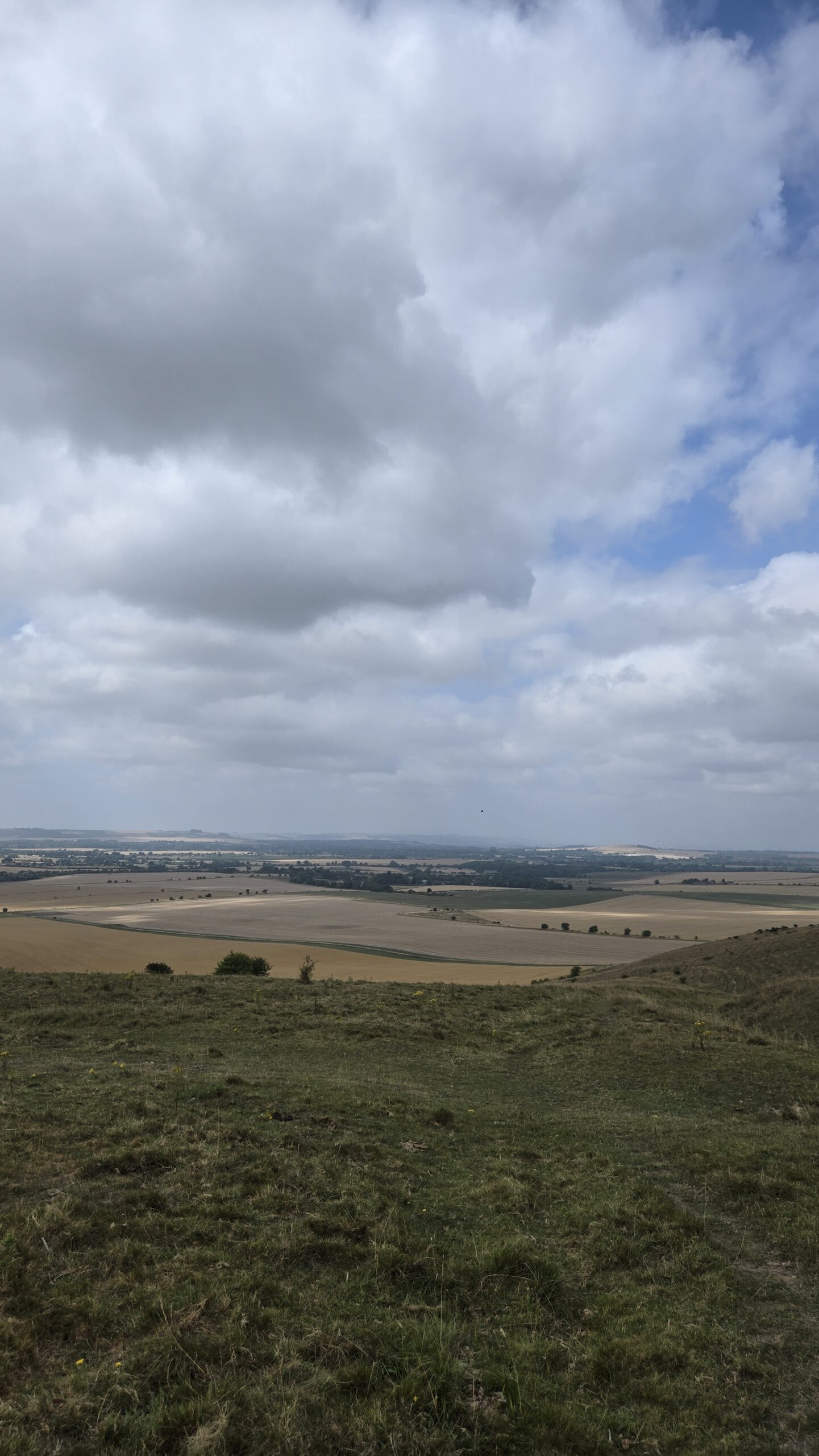 21 Roaming the Paths View from the downs Alton