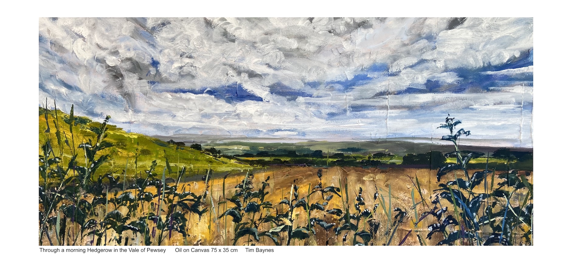 Through-a-morning-Hedgerow-in-the-Vale-of-Pewsey-Oil-on-Canvas-75-x-35-cm-Tim-Baynes-c